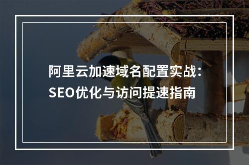 阿里云加速域名配置实战：SEO优化与访问提速指南