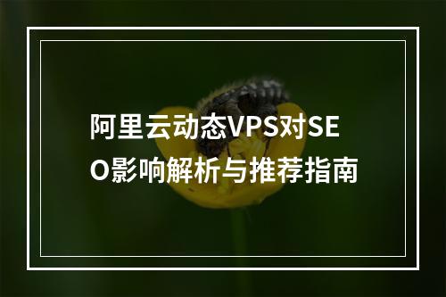 阿里云动态VPS对SEO影响解析与推荐指南