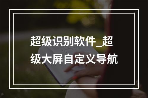 超级识别软件_超级大屏自定义导航
