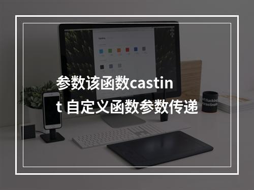 参数该函数castint 自定义函数参数传递