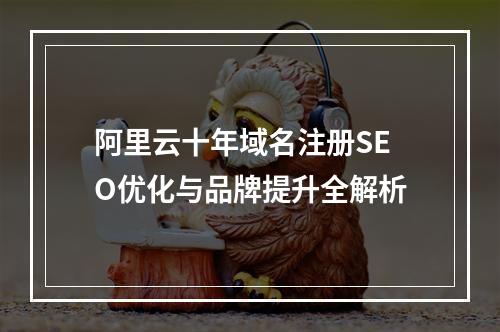 阿里云十年域名注册SEO优化与品牌提升全解析