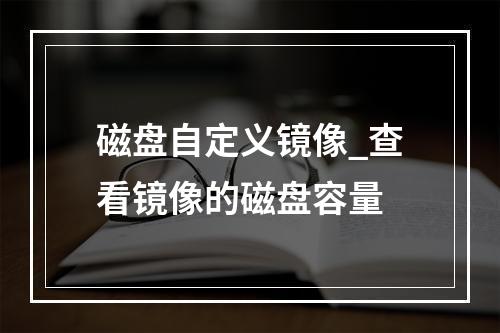 磁盘自定义镜像_查看镜像的磁盘容量