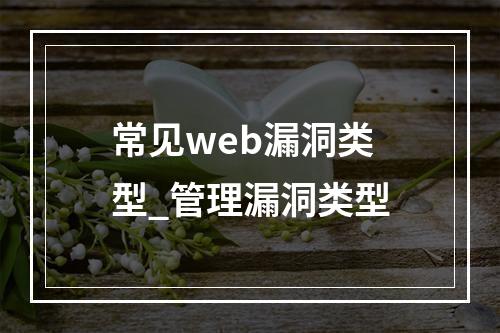 常见web漏洞类型_管理漏洞类型