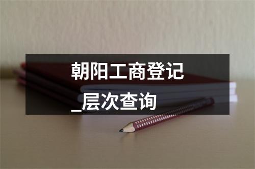 朝阳工商登记_层次查询