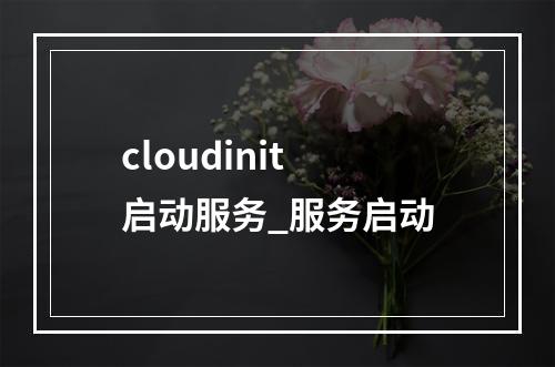 cloudinit 启动服务_服务启动