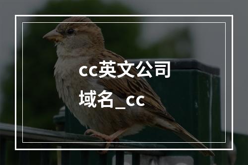 cc英文公司域名_cc