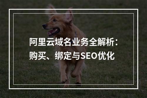 阿里云域名业务全解析：购买、绑定与SEO优化