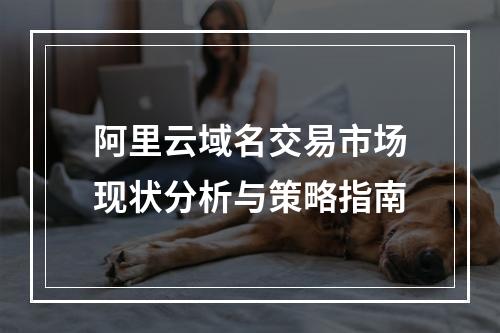 阿里云域名交易市场现状分析与策略指南