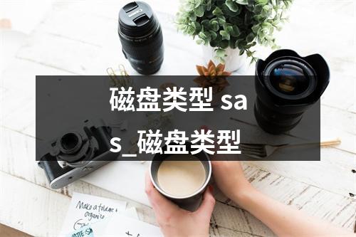 磁盘类型 sas_磁盘类型