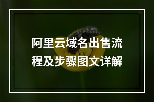 阿里云域名出售流程及步骤图文详解