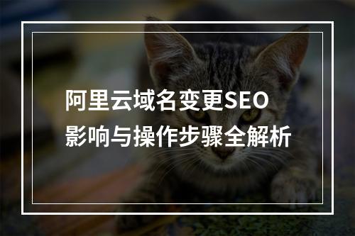 阿里云域名变更SEO影响与操作步骤全解析
