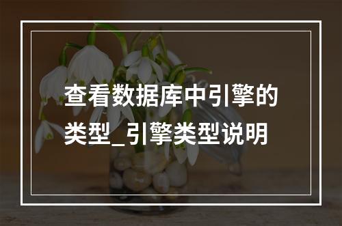 查看数据库中引擎的类型_引擎类型说明