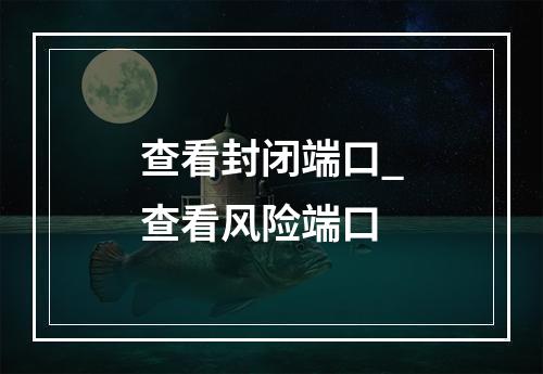查看封闭端口_查看风险端口