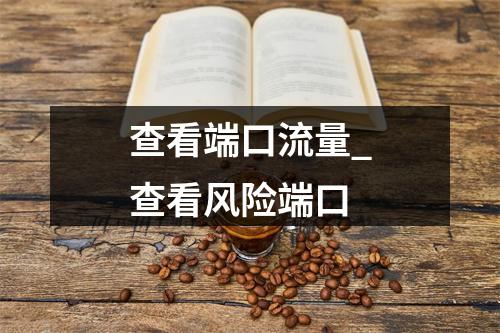 查看端口流量_查看风险端口