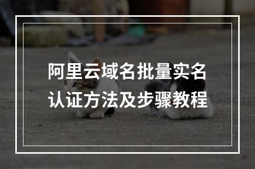 阿里云域名批量实名认证方法及步骤教程