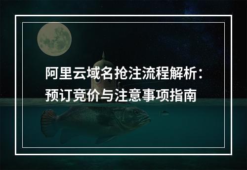 阿里云域名抢注流程解析：预订竞价与注意事项指南