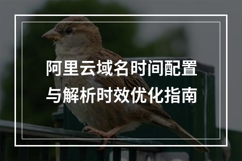 阿里云域名时间配置与解析时效优化指南