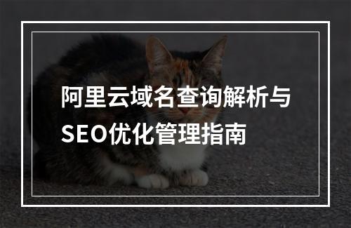 阿里云域名查询解析与SEO优化管理指南