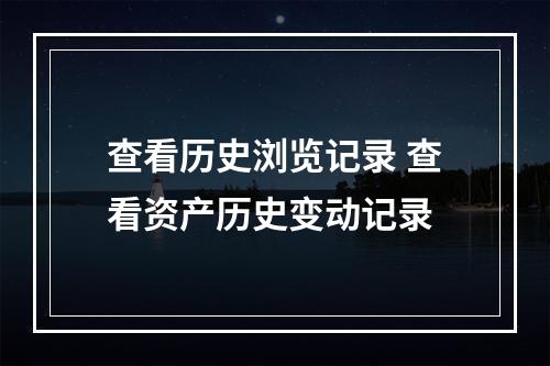查看历史浏览记录 查看资产历史变动记录