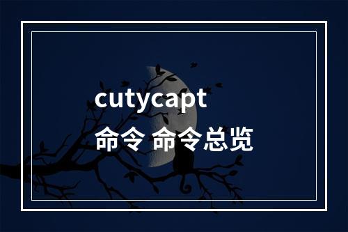 cutycapt命令 命令总览