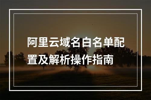 阿里云域名白名单配置及解析操作指南