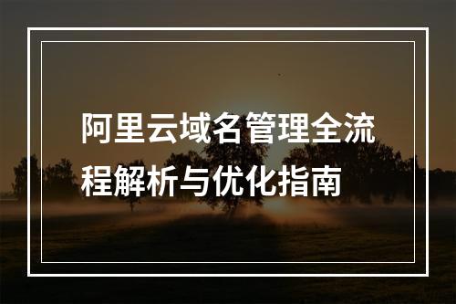 阿里云域名管理全流程解析与优化指南