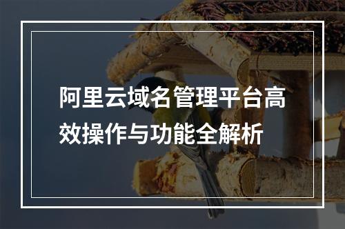 阿里云域名管理平台高效操作与功能全解析
