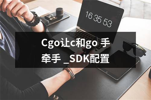 Cgo让c和go 手牵手 _SDK配置