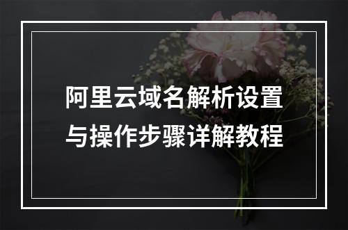 阿里云域名解析设置与操作步骤详解教程