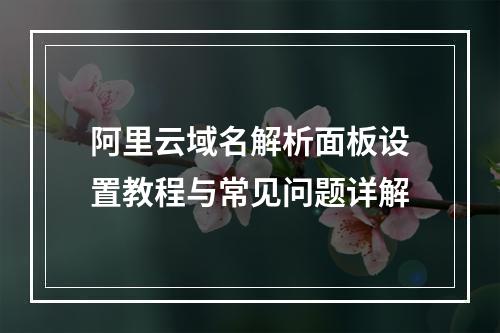 阿里云域名解析面板设置教程与常见问题详解