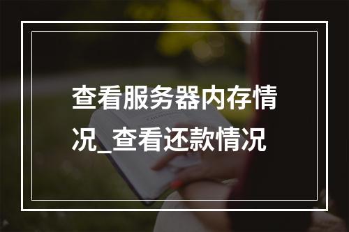查看服务器内存情况_查看还款情况