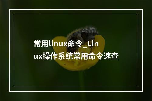 常用linux命令_Linux操作系统常用命令速查
