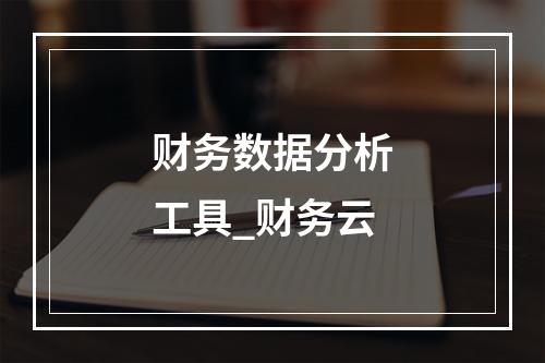 财务数据分析工具_财务云