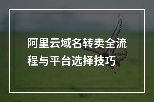 阿里云域名转卖全流程与平台选择技巧