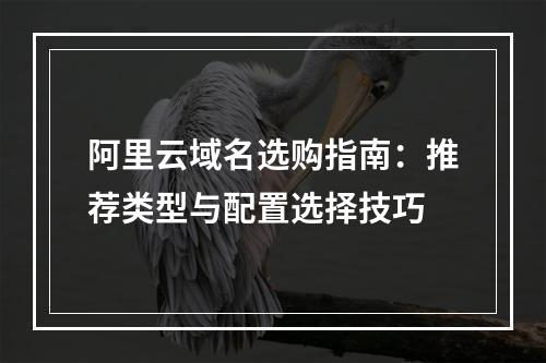 阿里云域名选购指南：推荐类型与配置选择技巧