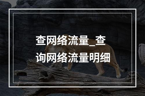 查网络流量_查询网络流量明细