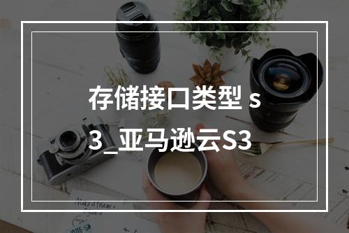 存储接口类型 s3_亚马逊云S3