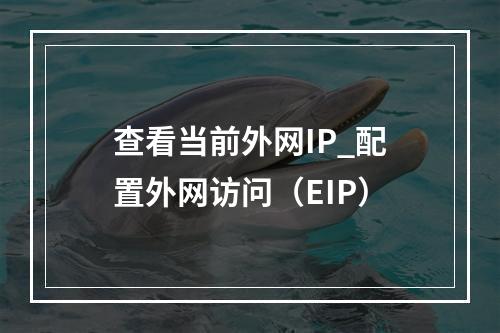 查看当前外网IP_配置外网访问(EIP)