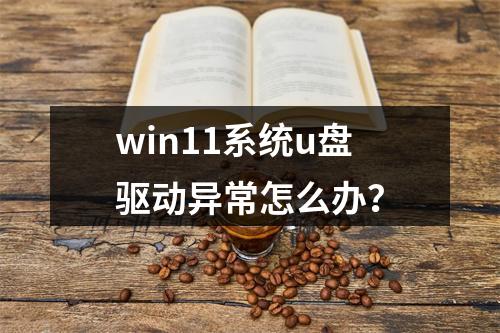win11系统u盘驱动异常怎么办?