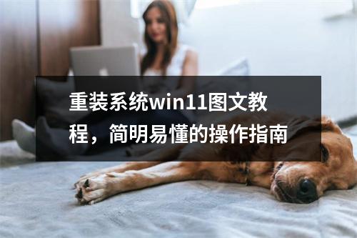 重装系统win11图文教程,简明易懂的操作指南