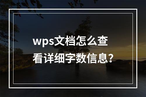 wps文档怎么查看详细字数信息?