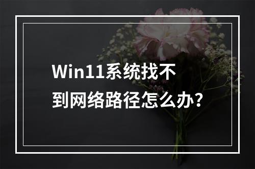 Win11系统找不到网络路径怎么办?