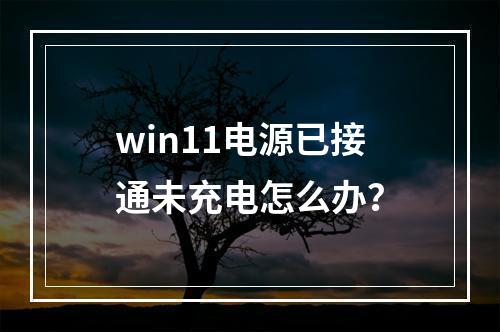 win11电源已接通未充电怎么办?