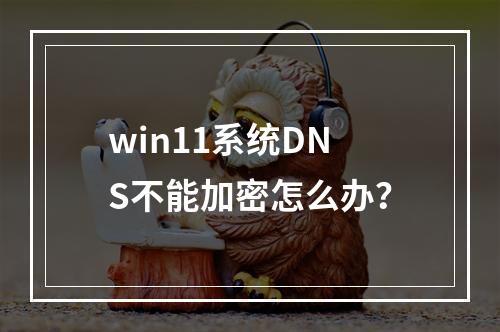 win11系统DNS不能加密怎么办?