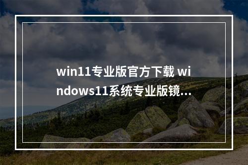 win11专业版官方下载 windows11系统专业版镜像文件下载
