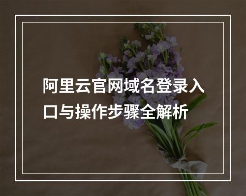 阿里云官网域名登录入口与操作步骤全解析