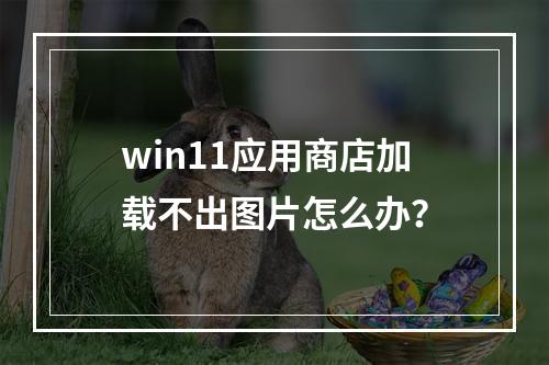 win11应用商店加载不出图片怎么办?