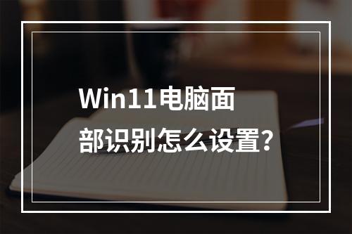 Win11电脑面部识别怎么设置?