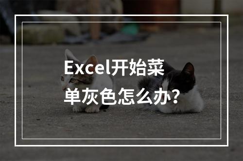 Excel开始菜单灰色怎么办?