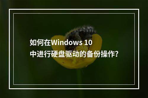 如何在Windows 10中进行硬盘驱动的备份操作?